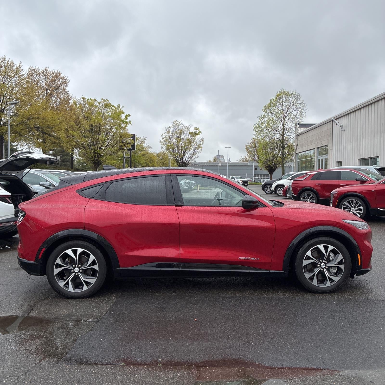 2021 Ford Mustang Mach-E Premium