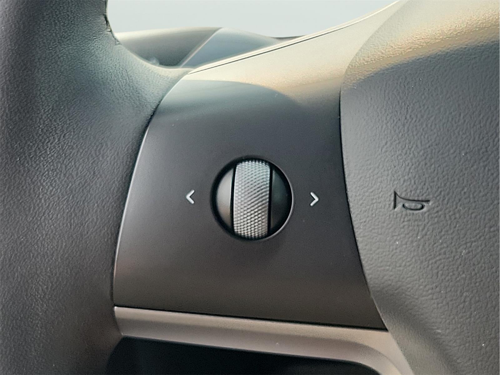 2021 Tesla Y Standard Range