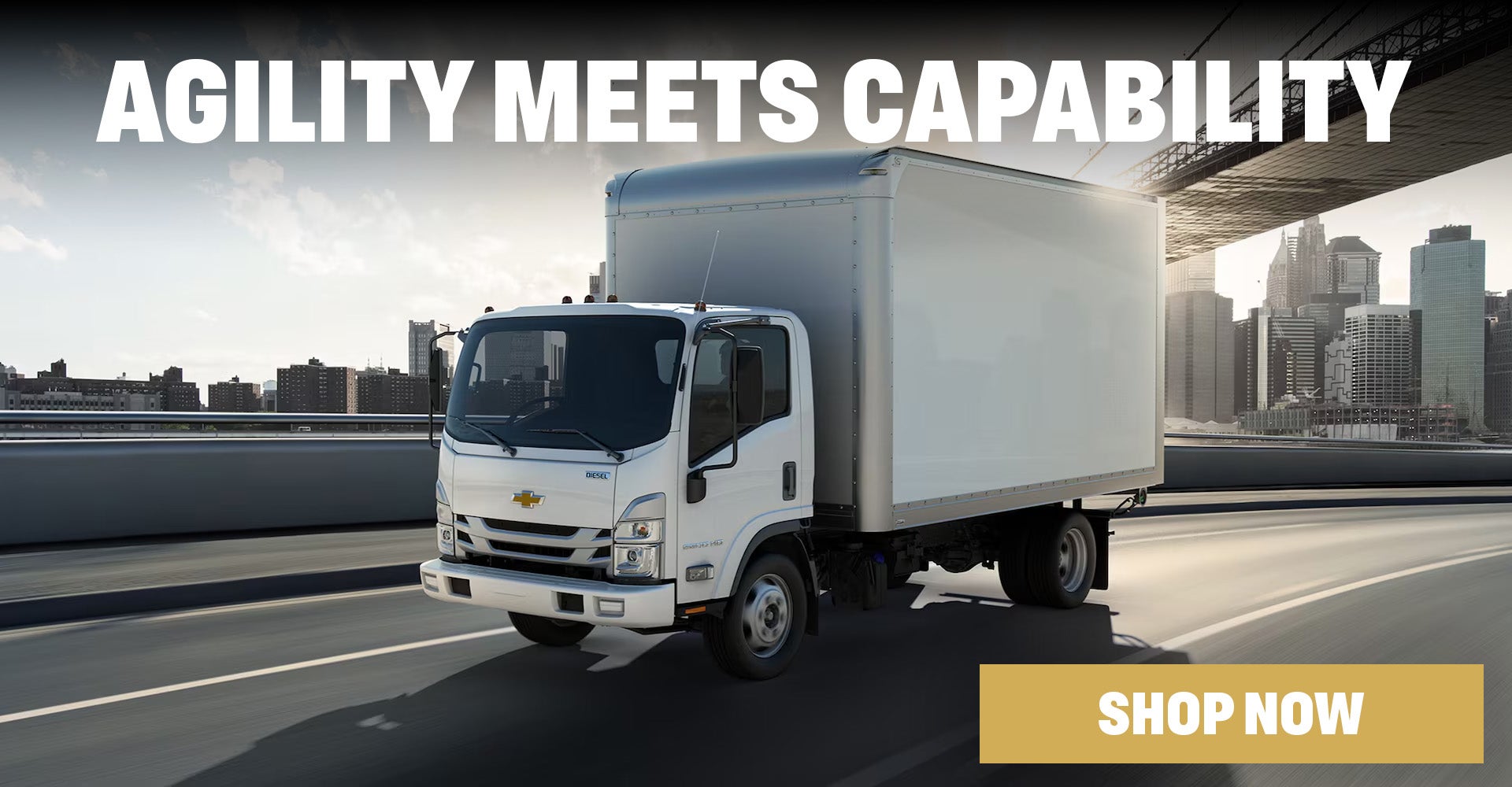 Chevy Low Cab Forward Chevy Low Cab Forward